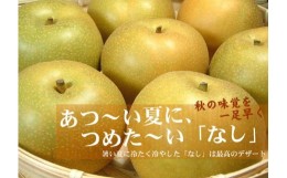 【ふるさと納税】梨(なし)幸水品種 約4kg 和歌山県産 (果実サイズおまかせ) 産地直送 なし 果物 フルーツ 紀伊国屋文左衛門本舗【TC2】