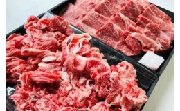 【ふるさと納税】【6月お届け】【近江牛 おうち焼肉と切落しセット 1kg】肉 牛肉 ブランド牛 三大和牛 和牛 黒毛和牛 焼肉 バーベキュー 