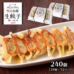 【ふるさと納税】火の本豚餃子 240個入 （20個×12パック） | 熊本県 熊本 くまもと 和水町 なごみ 豚肉 火の本豚 地域ブランド ギョウザ