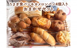 【ふるさと納税】うさぎ食パン＆カメロンパン4個入り おまかせセット