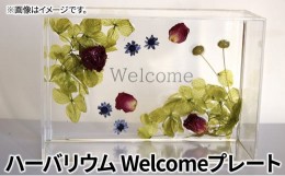 【ふるさと納税】[?5695-1559]ハーバリウム Welcomeプレート　インテリア ハンドメイド 雑貨