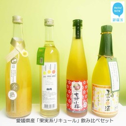 【ふるさと納税】愛媛県産 果実系リキュール 飲み比べセット（720ml×2本・500ml×2本）【栄光酒造・梅錦山川・協和酒造・近藤酒造】