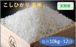 【ふるさと納税】定期便 12回 こだわり コシヒカリ 玄米 10kg / お米