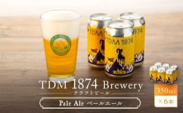 【ふるさと納税】TDM 1874 Brewery クラフトビール Pale Ale ペールエール (350ml×6本)【お酒・地ビール・酒】