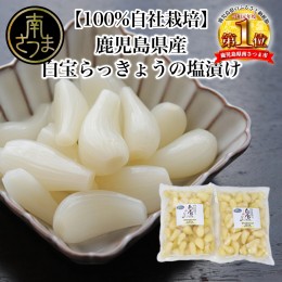 【ふるさと納税】【鹿児島県産】白宝らっきょうの塩漬け 900g×2P