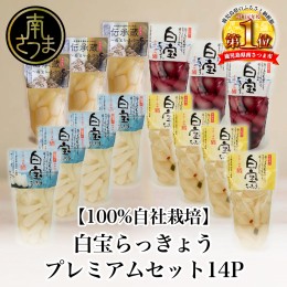 【ふるさと納税】【鹿児島県産】白宝らっきょうプレミアムセット 14P（酢漬け・塩漬け各4P、しそ漬け・黒酢漬け各3P）