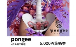 【ふるさと納税】[?5311-1037]チケット 広島 pongee 美容整骨 施術券 5,000円分 フェムケア 矯正 骨盤矯正 美容 サロン 5000円 広島県 三