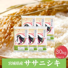 【ふるさと納税】(06430)《精米》令和5年産 宮城県産ササニシキ30kg