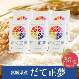 【ふるさと納税】(06438)《精米》令和5年産 宮城県産だて正夢30kg