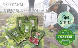 【ふるさと納税】FV019_【６回定期便】6000.FARMの有機野菜のサラダセット