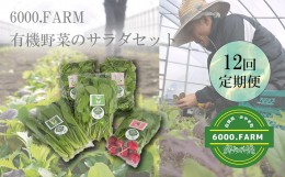 【ふるさと納税】FV020_【12回定期便】6000.FARMの有機野菜のサラダセット　