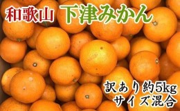 【ふるさと納税】【訳あり】和歌山下津みかん約5kgご家庭用向け(サイズ混合) ★2024年11月中旬頃より順次発送【TM77】