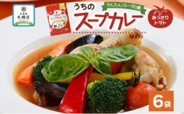 【ふるさと納税】スープカレーの素 うちのスープカレー トマト味 2人前×6袋 小分け スープカレー スパイス トマト スープ カレー 簡単 