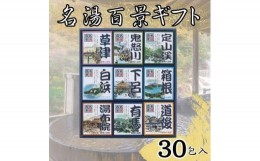 【ふるさと納税】名湯百景　入浴剤　30包入