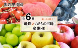 【ふるさと納税】[No.5657-3919]【新鮮♪くだもの三昧定期便】さくらんぼ・桃・ナガノパープル・シャインマスカット・りんご 全6回（6月