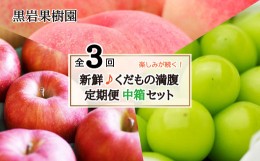 【ふるさと納税】[No.5657-3921]【新鮮♪くだもの満腹定期便（中箱セット）】桃・シャインマスカット・りんご 全3回（7〜8月・9〜10月・1