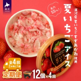 【ふるさと納税】果肉55%「夏いちごアイス(12個)」【全4回定期便】[22-999]