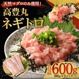 【ふるさと納税】【ふるさと納税】 訳あり ネギトロ 魚 惣菜 600g (200g×3パック)  高豊丸  高品質 おかず 海鮮 魚介 魚 まぐろたたき 