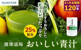 【ふるさと納税】【定期便6回】健康道場　おいしい青汁10本セット×２