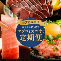 【ふるさと納税】海からの贈り物！マグロとカツオの定期便【３回お届け】 海鮮 魚 刺身 マグロ カツオ 刺身