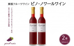 【ふるさと納税】東根フルーツワイン　ピノ・ノワールワイン500ml×2本セット　hi004-hi024-005