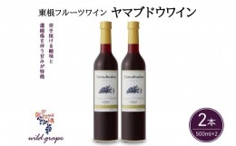 【ふるさと納税】東根フルーツワイン　ヤマブドウワイン500ml×２本セット　hi004-hi024-006