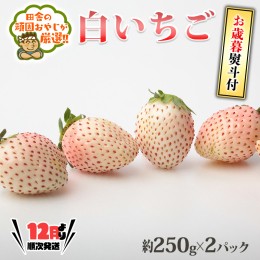 【ふるさと納税】＜お歳暮熨斗付＞白いちご約250ｇ×2パック 【令和6年12月より発送開始】 田舎の頑固おやじが厳選！ 茨城県 県産 つくば