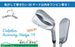 【ふるさと納税】ゴルフ ドルフィン ランニング ウェッジ DRW119 カーボンシャフト ロフト角39度 【クラブ長さ：33インチ】 キャスコ KAS