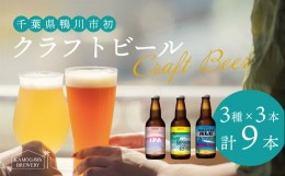 【ふるさと納税】【KAMOGAWA BREWERY】鴨川クラフトビール ３種９本　[0018-0009]