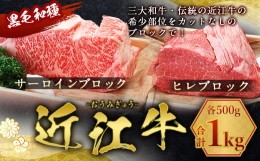 【ふるさと納税】近江牛 サーロイン ブロック ＆ ヒレ ブロック 各500g　合計1kg　牛肉 和牛 黒毛和牛 国産　AI36