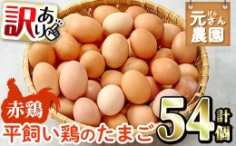 【ふるさと納税】＜訳あり・規格外＞ 平飼い赤鶏のたまご (計54個) 元さん農園 卵 玉子 卵かけご飯 玉子焼き 平飼い 鶏 鶏卵 養鶏場直送 