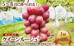 【ふるさと納税】[No.5657-3929]5〜6月に食べられる！温室栽培高級ブドウ　クイーンルージュ?1房（約600g）《本沢農園》■2024年発送■※