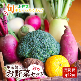 【ふるさと納税】【定期便・年12回】旬のお野菜を少しずつたくさん！甲斐路の彩りお野菜セット