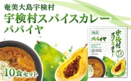 【ふるさと納税】絶品 宇検村スパイスカレー「パパイヤ」・10個セット