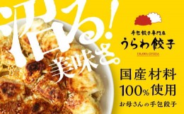 【ふるさと納税】うらわ餃子　レギュラー10個・バジル＆チーズ10個セット　【11100-0725】