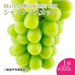 【ふるさと納税】ぶどう 2024年 先行予約 シャインマスカット 晴王 1房 約500g 岡山県産 葡萄 ブドウ ギフト ハレノフルーツ 皮ごと食べ