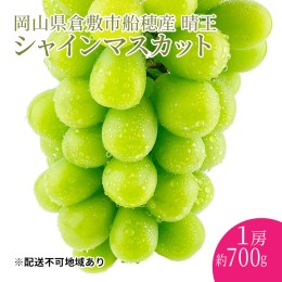 【ふるさと納税】ぶどう 2024年 先行予約 シャインマスカット 晴王 1房 約700g 岡山県産 葡萄 ブドウ ギフト ハレノフルーツ 皮ごと食べ