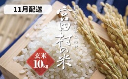 【ふるさと納税】【予約受付】【令和６年米】【新米】長野県産　減農薬栽培(栽培期間中)コシヒカリ／玄米／10kg・9,000円／11月配送