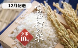 【ふるさと納税】【予約受付】【令和６年米】【新米】長野県産　減農薬栽培(栽培期間中)コシヒカリ／玄米／10kg・9,000円／12月配送