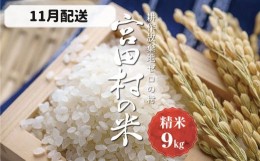 【ふるさと納税】【予約受付】【令和６年米】【新米】長野県産　減農薬栽培(栽培期間中)コシヒカリ／精米／9kg・9,000円／11月配送