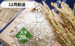 【ふるさと納税】【予約受付】【令和６年米】【新米】長野県産　減農薬栽培(栽培期間中)コシヒカリ／玄米／20kg・16,000円／12月配送