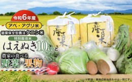 【ふるさと納税】【令和6年産 先行予約】 特別栽培米 はえぬき（タニシ米）10kg（5kg×2袋）と農家の食べる野菜・果物　山形県鶴岡産　ア