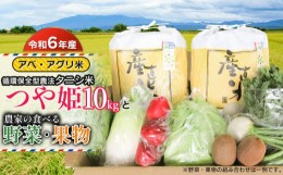 【ふるさと納税】【令和6年産 先行予約】 特別栽培米 つや姫（タニシ米）10kg（5kg×2袋）と農家の食べる野菜・果物　山形県鶴岡産　アベ