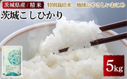 【ふるさと納税】茨城県産特別栽培米 地球にやさしいおこめ 茨城こしひかり 5kg※離島への配送不可