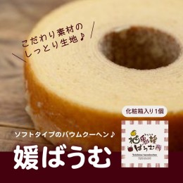 【ふるさと納税】媛バウムクーヘン　洋菓子 ギフト お土産 ソフト スイーツ