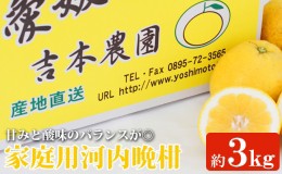 【ふるさと納税】吉本農園の愛南ゴールド（河内晩柑）家庭用約3kg　※2024年4月上旬〜8月上旬頃に順次発送予定