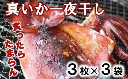 【ふるさと納税】北三陸産 真イカの一夜干し 3枚入り×3袋 いか一夜干し いか イカ焼き イカ飯 BBQ イカゲソ