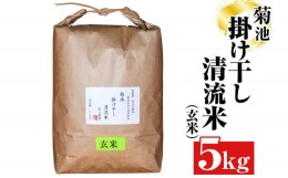 【ふるさと納税】菊池掛け干し清流米(玄米) 5kg