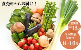 【ふるさと納税】直売所からお届け! 旬の野菜セット【12回お届け】（8〜10品詰め合わせ）新鮮な野菜直送 定期便【大根･白菜･春菊･アス