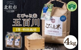 【ふるさと納税】こぴっと米【五百川】4kg　１等特別栽培米100％